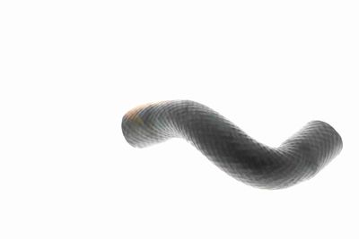 FURTUN RADIATOR VAICO V201650 11