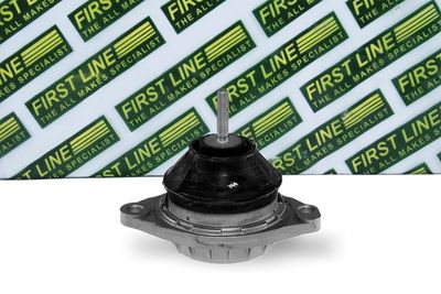 окачване, двигател FIRST LINE FEM3165