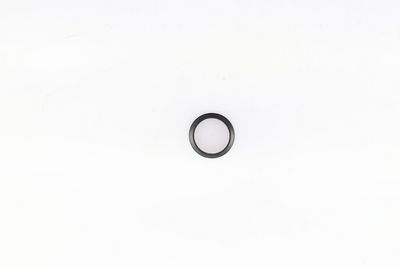 DICHTUNG ANSAUGKRüMMER