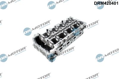 Hlava válce Dr.Motor Automotive DRM420401
