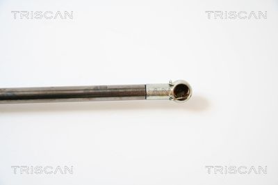 AMORTIZOR PORTBAGAJ KAWE 871040228 2