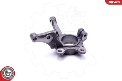 Steering Knuckle, wheel suspension 47SKV462