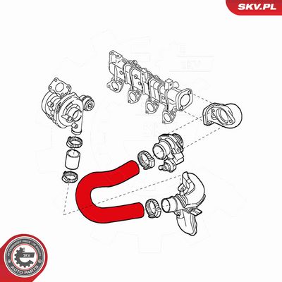 FURTUN EAR SUPRAALIMENTARE ESEN SKV 43SKV077 3