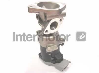 EGR Valve Intermotor 14420