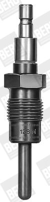 BorgWarner (BERU) Glühkerze