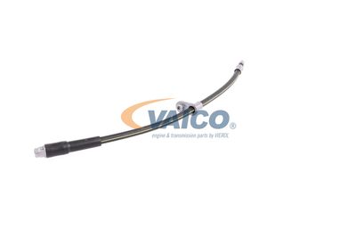 FURTUN FRANA VAICO V420748 19