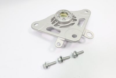 FEDERBEINSTüTZLAGER