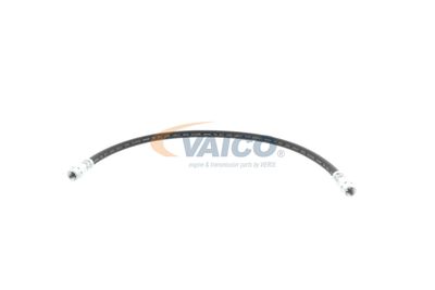 FURTUN FRANA VAICO V309926 12