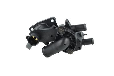 TERMOSTAT LICHID RACIRE NRF 725238 27