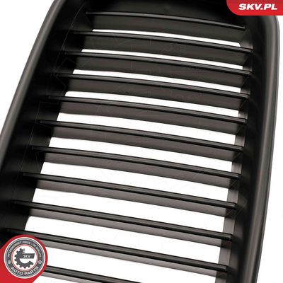 GRILA RADIATOR ESEN SKV 66SKV046 6
