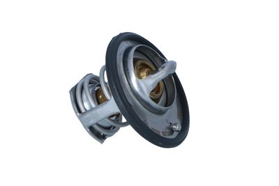 TERMOSTAT LICHID RACIRE NRF 725305 28