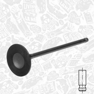 SUPAPA ADMISIE ET ENGINETEAM VI0194 1