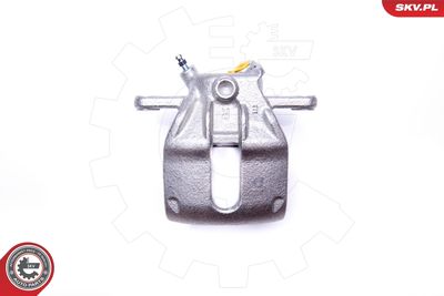 Brake Caliper 42SKV302