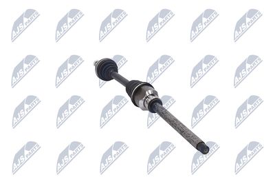 PLANETARA NTY NPWPE081 31