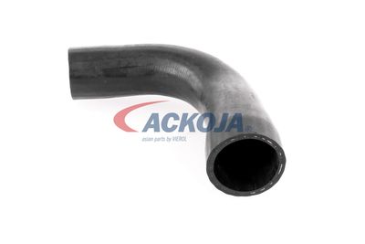 FURTUN EAR SUPRAALIMENTARE ACKOJA A389600 18