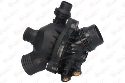 FLANSA LICHID RACIRE BIRTH 8991 2