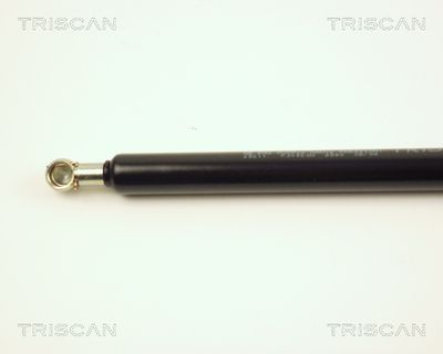 AMORTIZOR PORTBAGAJ KAWE 871028211 1