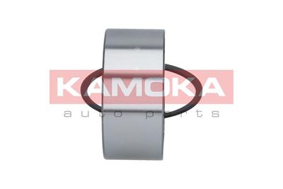 Wheel Bearing Kit 5600038