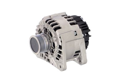 GENERATOR / ALTERNATOR REMANTE 011003000135R 7