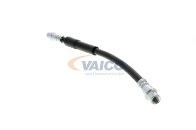 FURTUN FRANA VAICO V104119 18