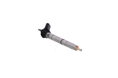 INJECTOR REMANTE 002003002365R 50