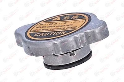 BUSON RADIATOR BIRTH 81184 2