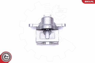 Brake Caliper 42SKV474