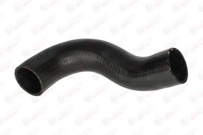 FURTUN EAR SUPRAALIMENTARE BIRTH 55633 2