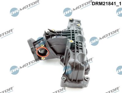 MODUL CONDUCTA ADMISIE Dr.Motor Automotive DRM21841 1