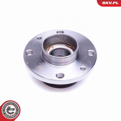 SET RULMENT ROATA ESEN SKV 29SKV404 1