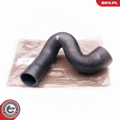 FURTUN EAR SUPRAALIMENTARE