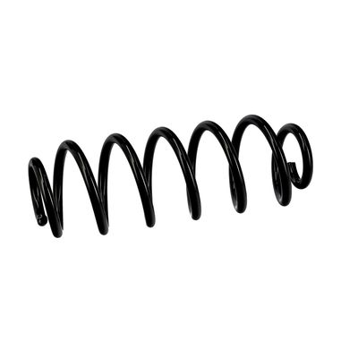 ARC SPIRAL EIBACH R10141 18