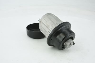 SUPORT MOTOR FEBEST TMGSE20F 34