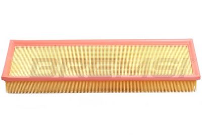 Oro filtras