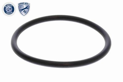 TERMOSTAT LICHID RACIRE VEMO V309903941 1