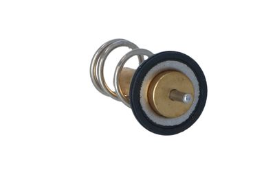 TERMOSTAT LICHID RACIRE NRF 725069 31