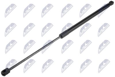 Dujinė spyruoklė, bagažinė