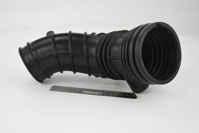 FURTUN ALIMENTARE AER FEBEST 03450001 4