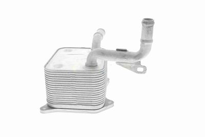 RADIATOR ULEI ULEI MOTOR VEMO V15600013 7