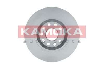 1031005 KAMOKA Тормозной диск