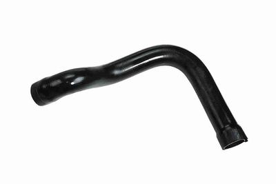 FURTUN EAR SUPRAALIMENTARE