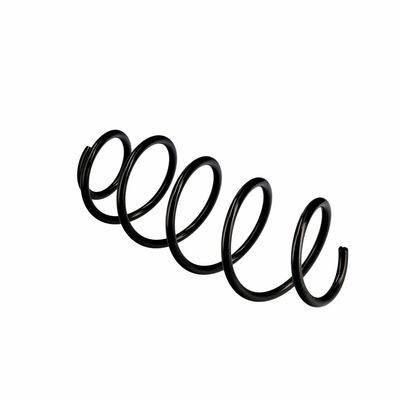 ARC SPIRAL EIBACH R10079 22