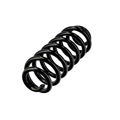 ARC SPIRAL EIBACH R10586 3