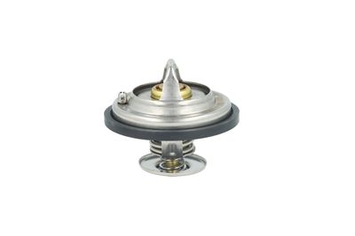 TERMOSTAT LICHID RACIRE NRF 725478 14