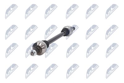 PLANETARA NTY NPWAR042 20