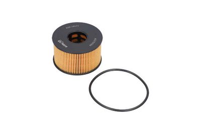 FILTRU ULEI AMC Filter FOF10171 19
