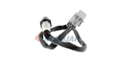 SONDA LAMBDA ACKOJA A53760012 38