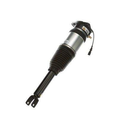 LUFTFEDERBEIN Arnott AS2968 60