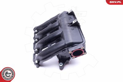 Intake Manifold Module 49SKV017