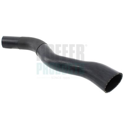 FURTUN EAR SUPRAALIMENTARE